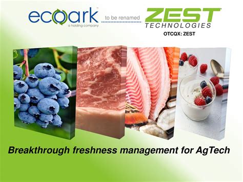 Ecoark (ZEST) Stock Price, News & Info: The Motley Fool